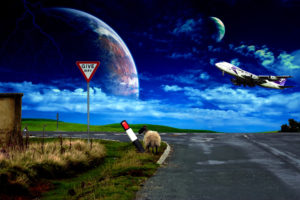 plane, Sheep, Road, Sky, Sign
