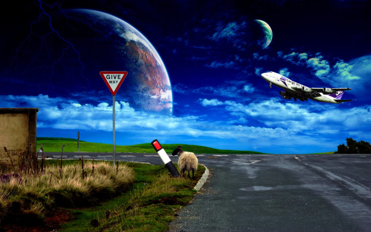 plane, Sheep, Road, Sky, Sign HD Wallpaper Desktop Background