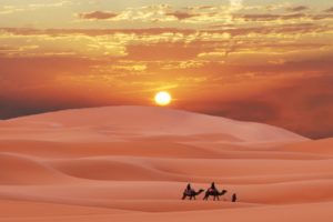 sahara, Desert, Morocco, Berber, Sunset, Camel, Sand