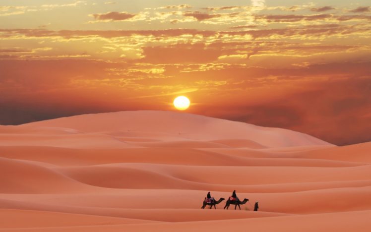 sahara, Desert, Morocco, Berber, Sunset, Camel, Sand HD Wallpaper Desktop Background