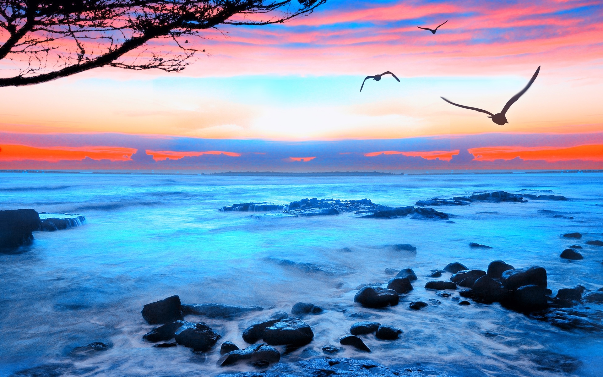 sunset, Seagulls, Sea, Landscape Wallpaper