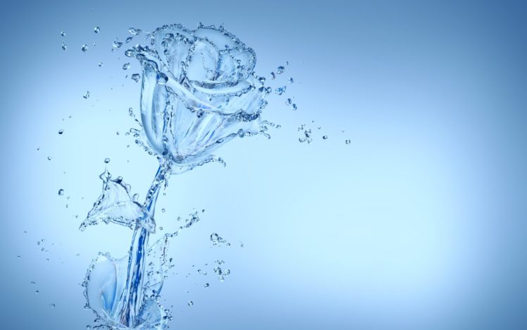 creativity, Water, Spray, Drops, Flower, Rose HD Wallpaper Desktop Background