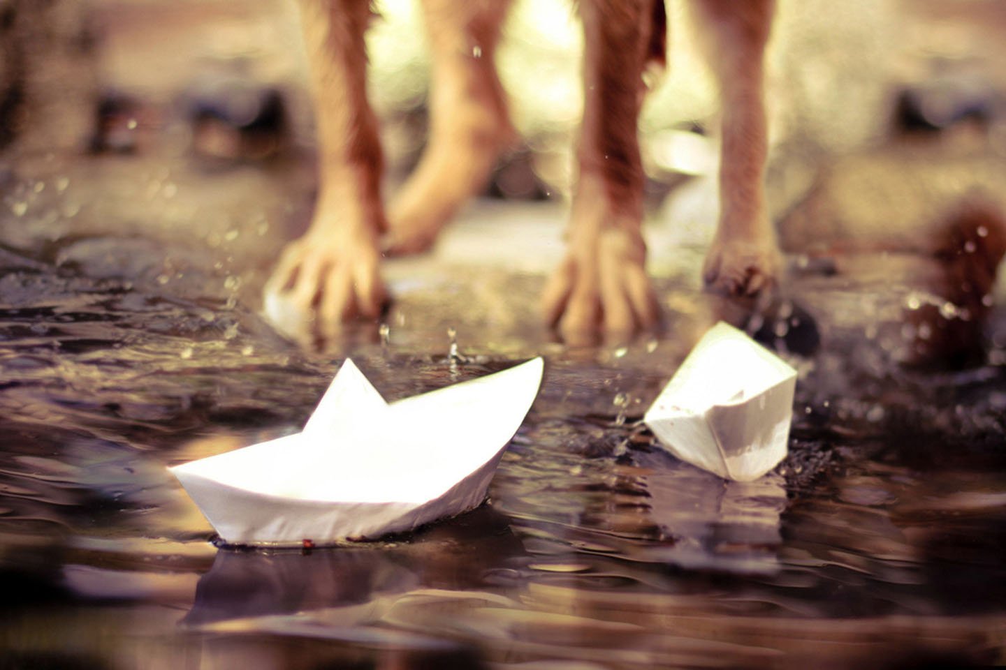 paper, Boats, Water, Mood, Child Wallpaper