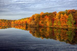 nature, Autumn, Colors, Water, Trees, Sky, Reflection
