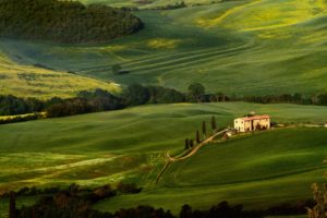 tuscany, Fields, Trees, Greenery