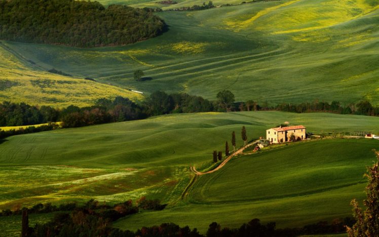tuscany, Fields, Trees, Greenery HD Wallpaper Desktop Background