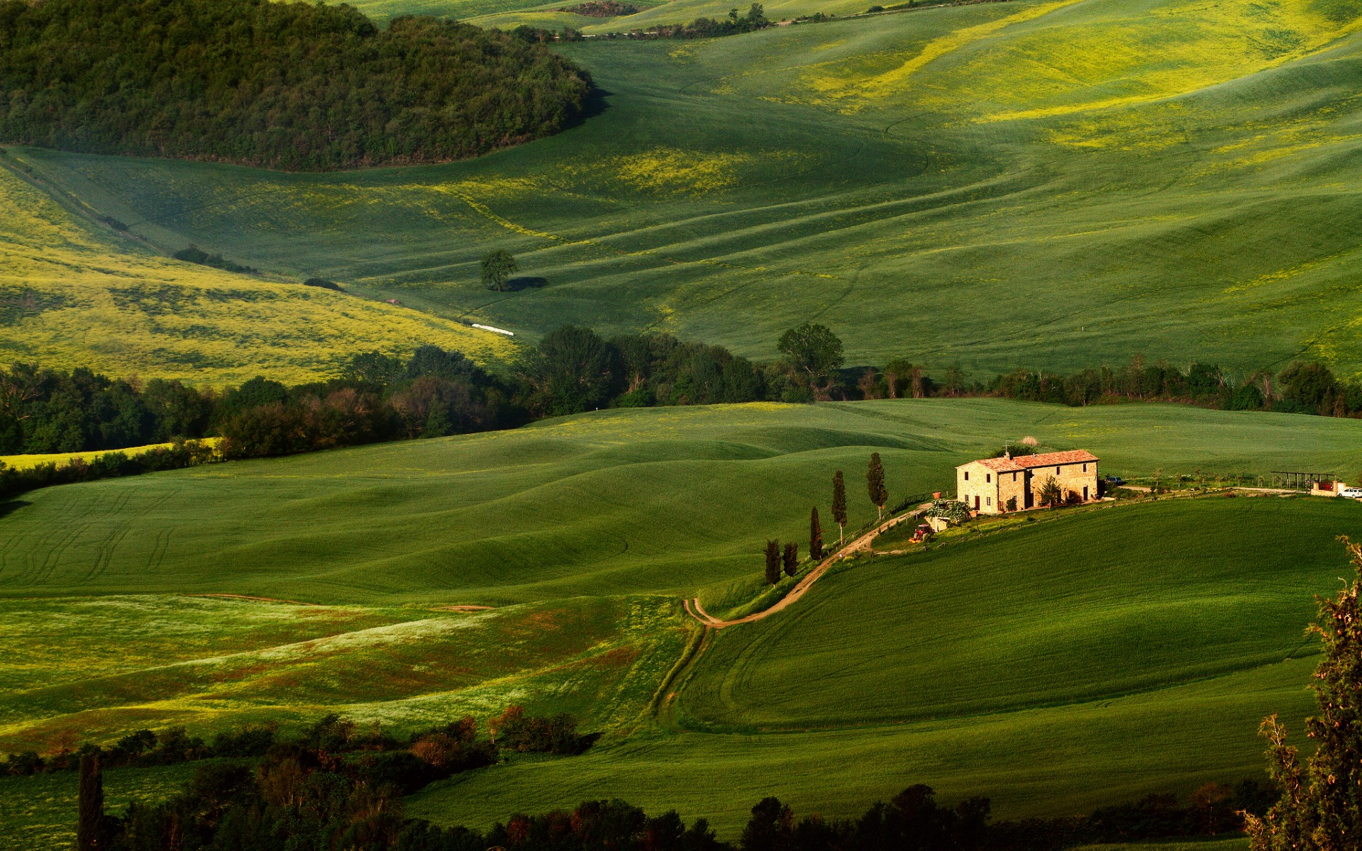 tuscany, Fields, Trees, Greenery Wallpaper