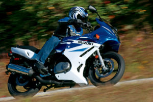 2007, Suzuki, Gs500f