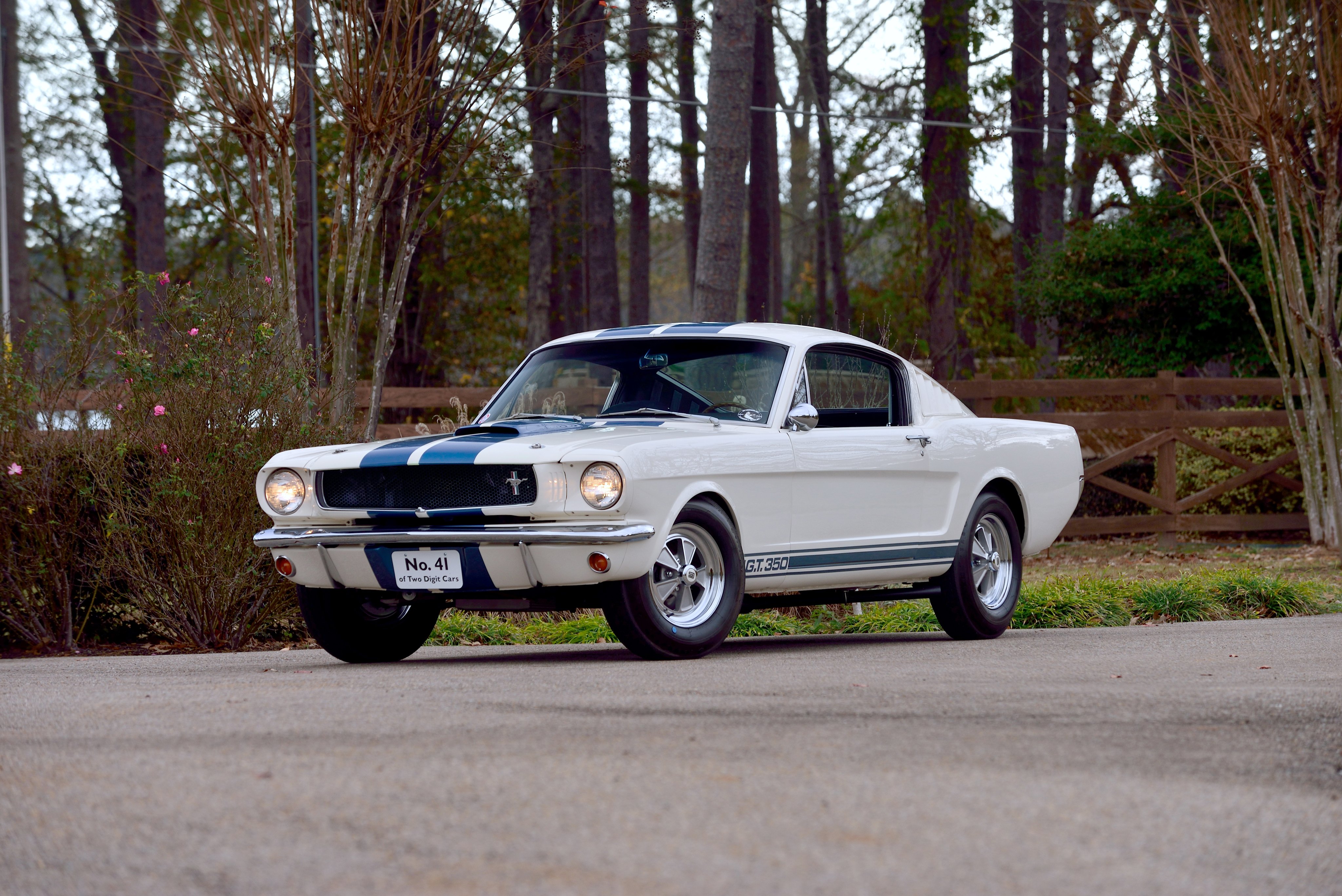 1965, Shelby, Gt350, Lemans, Ford, Mustang, Muscle, Classic Wallpaper