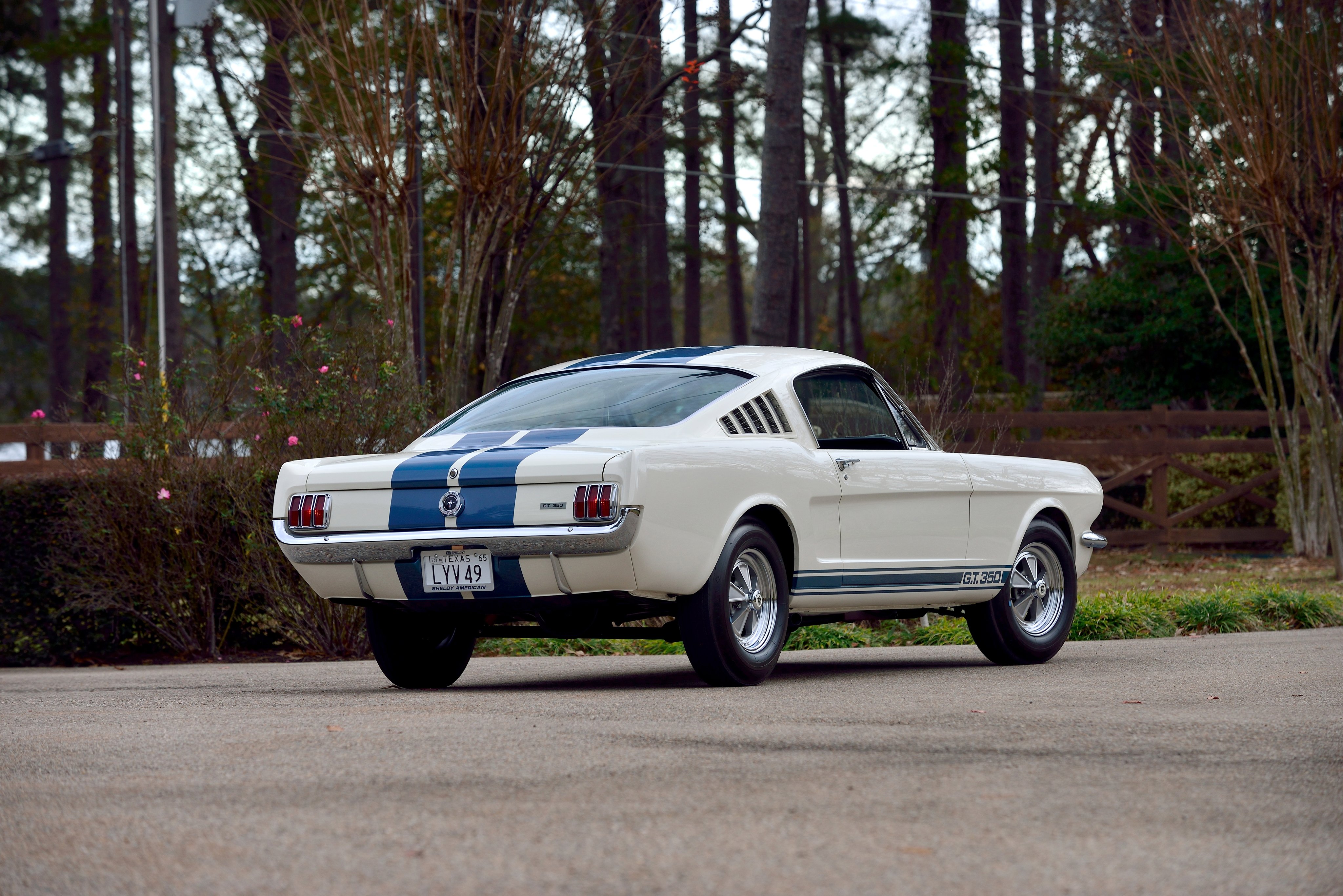 1965 Shelby Gt350 Lemans Ford Mustang Muscle Classic Wallpapers