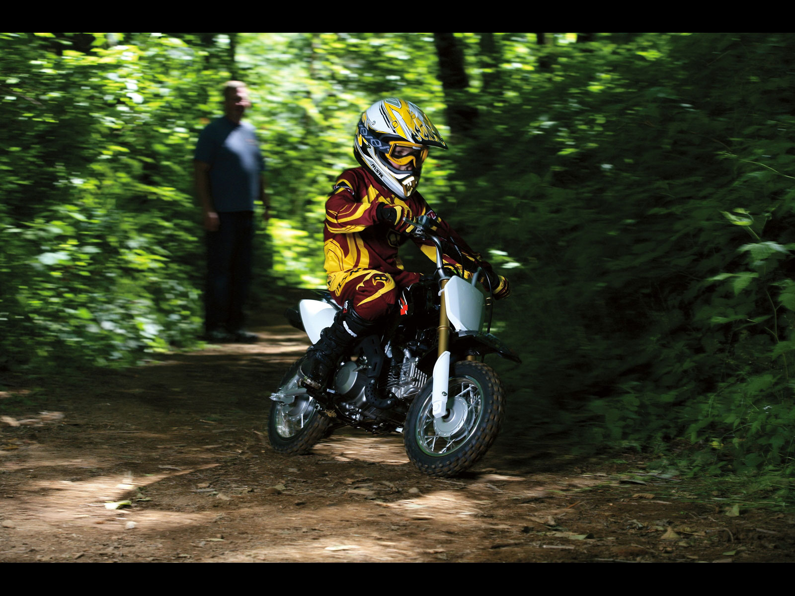 2010, Suzuki, Dr z70 Wallpaper