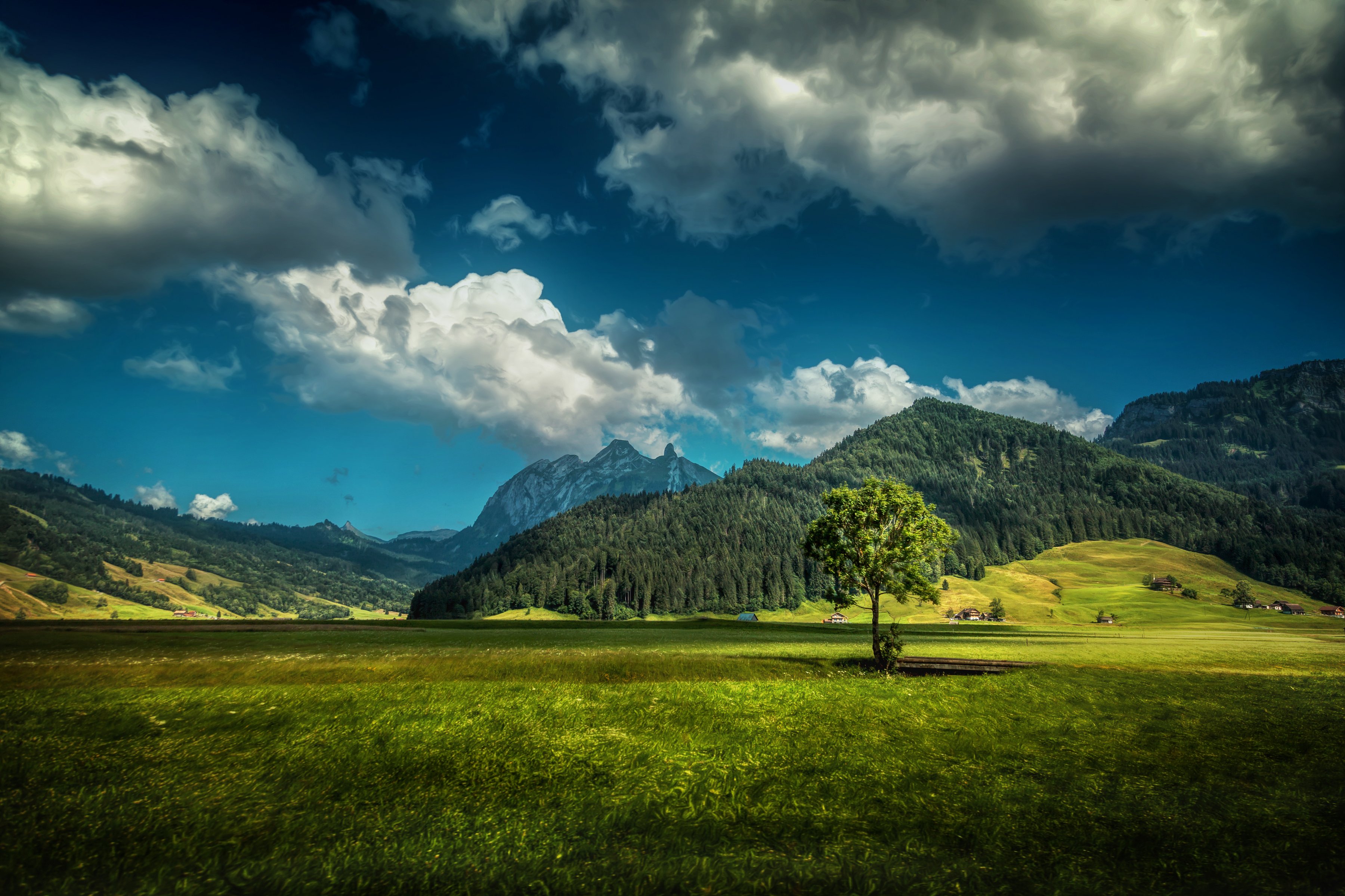switzerland, Scenery, Mountains, Sky, Forests, Clouds, Grass Wallpaper