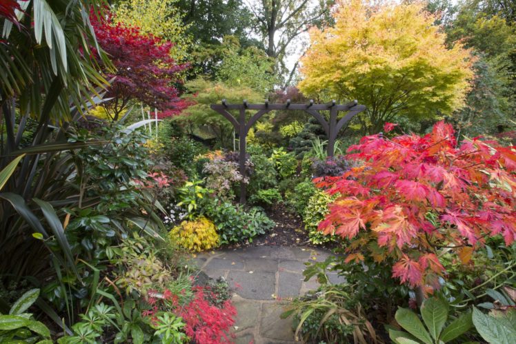england, Gardens, Shrubs, Foliage, Walsall, Garden, Nature HD Wallpaper Desktop Background