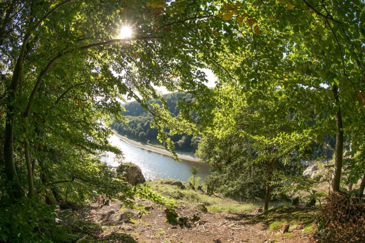 germany, Rivers, Summer, Bavaria, Trees, Nature HD Wallpaper Desktop Background