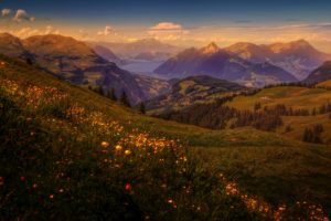 mountains, Grasslands, Scenery, Switzerland, Grass, Nature