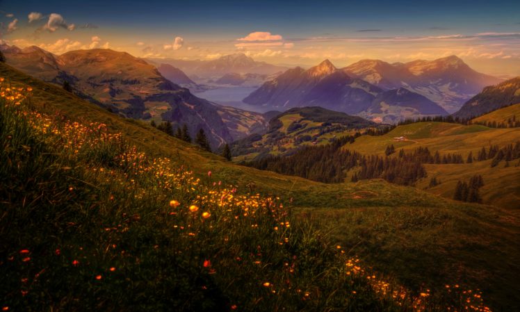 mountains, Grasslands, Scenery, Switzerland, Grass, Nature HD Wallpaper Desktop Background