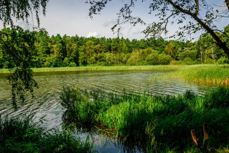 germany, Rivers, Summer, Grass, Oranienburg, Nature HD Wallpaper Desktop Background
