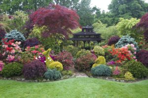 england, Gardens, Pagodas, Rhododendron, Shrubs, Walsall, England, Garden, Nature