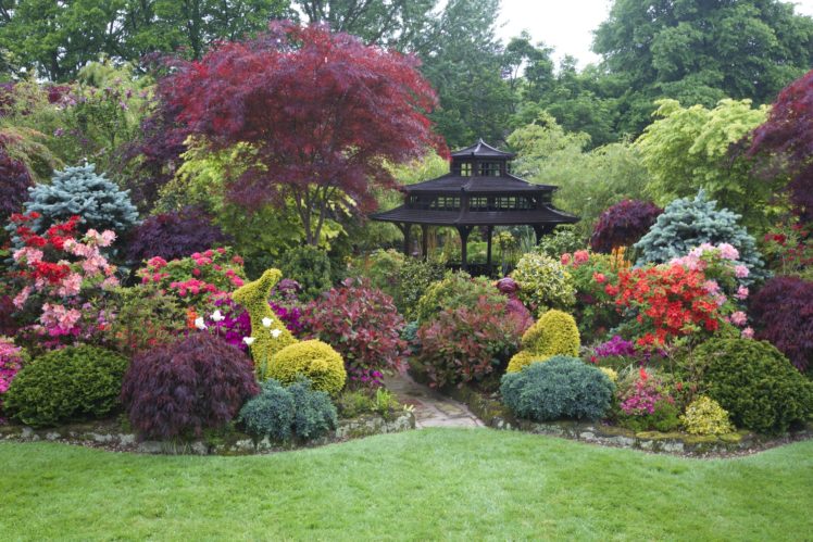 england, Gardens, Pagodas, Rhododendron, Shrubs, Walsall, England, Garden, Nature HD Wallpaper Desktop Background