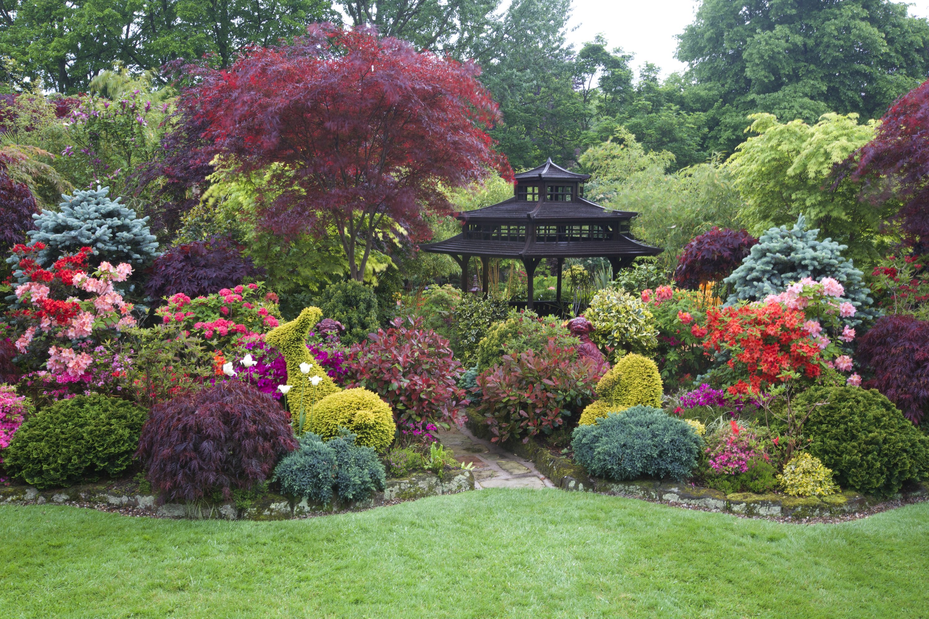 england, Gardens, Pagodas, Rhododendron, Shrubs, Walsall, England, Garden, Nature Wallpaper