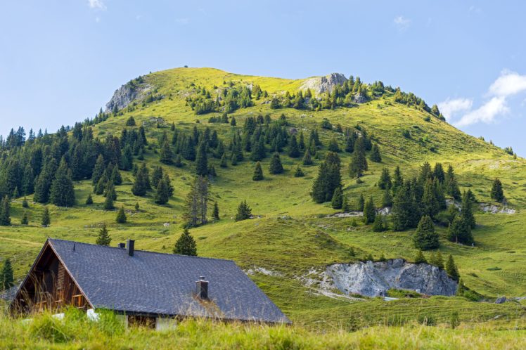 switzerland, Scenery, Mountains, Houses, Fir, Grass, Jakobshorn, Davos HD Wallpaper Desktop Background