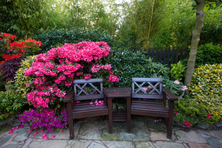 england, Gardens, Rhododendron, Bench, Shrubs, Walsall, Garden, Nature HD Wallpaper Desktop Background