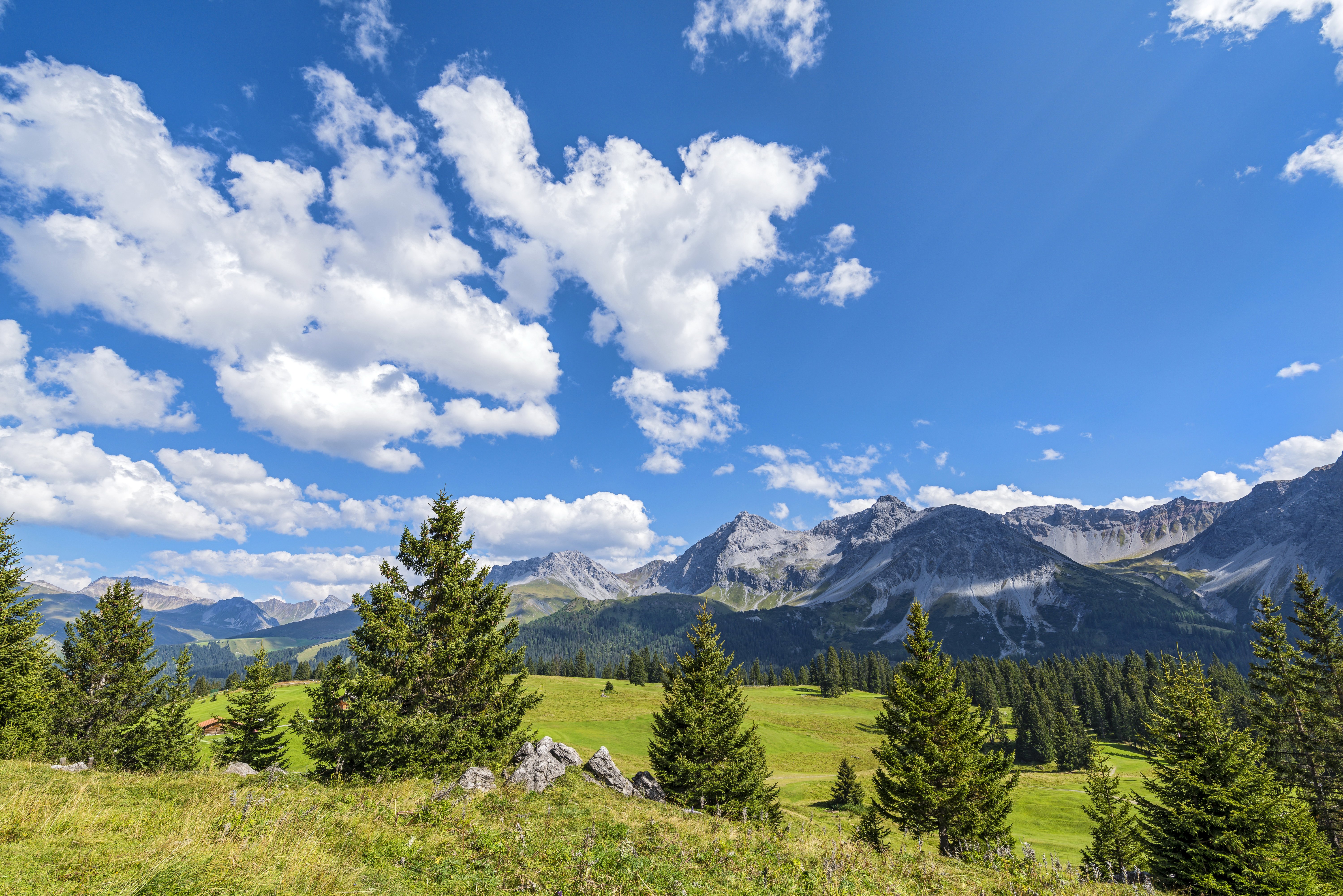 scenery, Switzerland, Mountains, Grasslands, Sky, Clouds, Fir, Jakobshorn, Davos, Nature Wallpaper