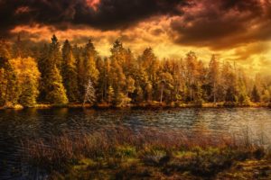 switzerland, Autumn, Lake, Forests, Nature