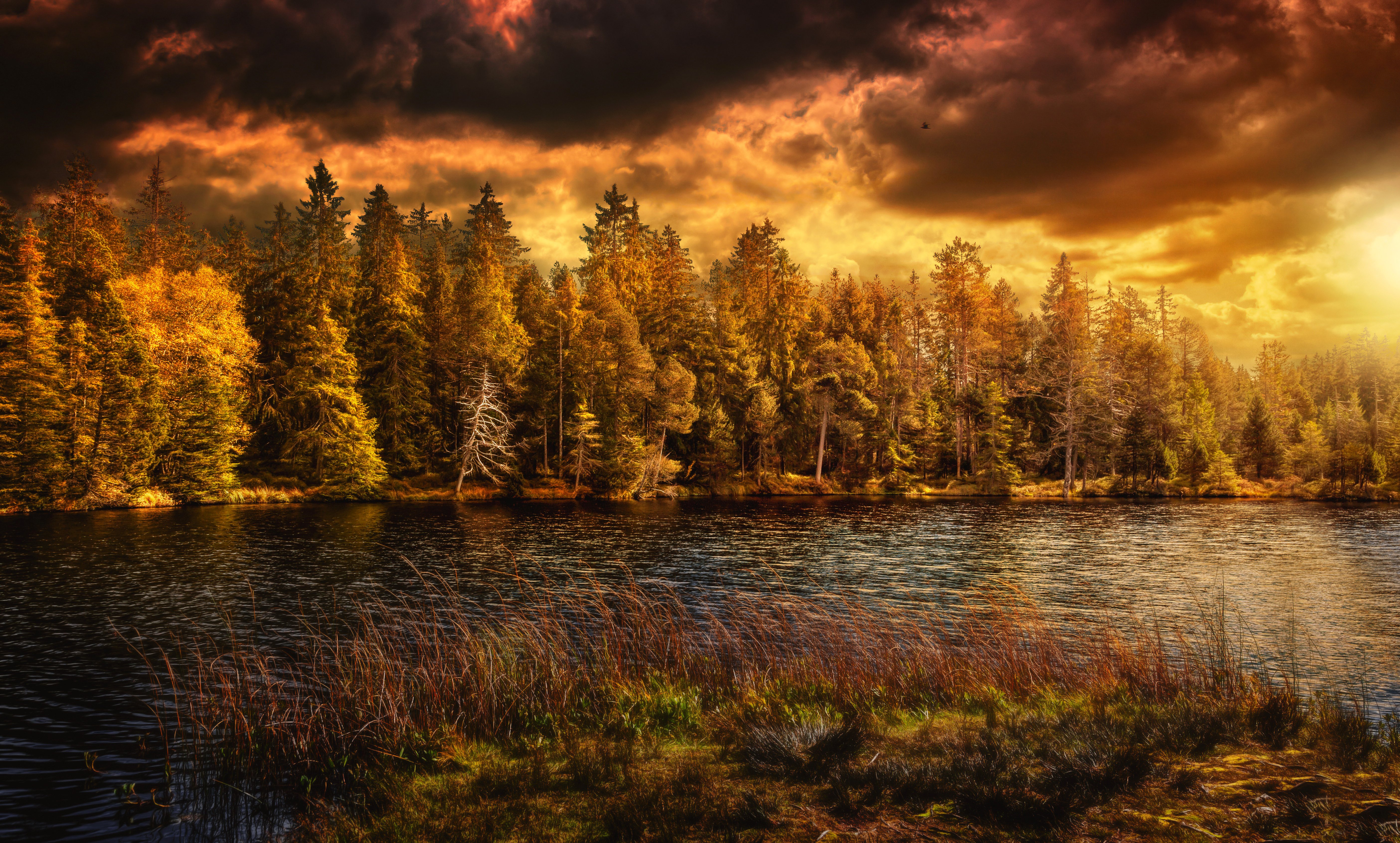 switzerland, Autumn, Lake, Forests, Nature Wallpaper