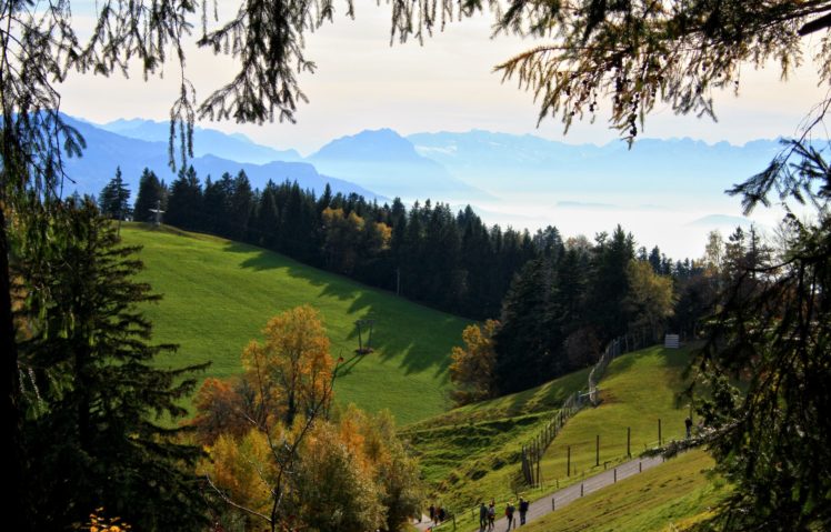 austria, Scenery, Forests, Grasslands, Lochau, Nature HD Wallpaper Desktop Background