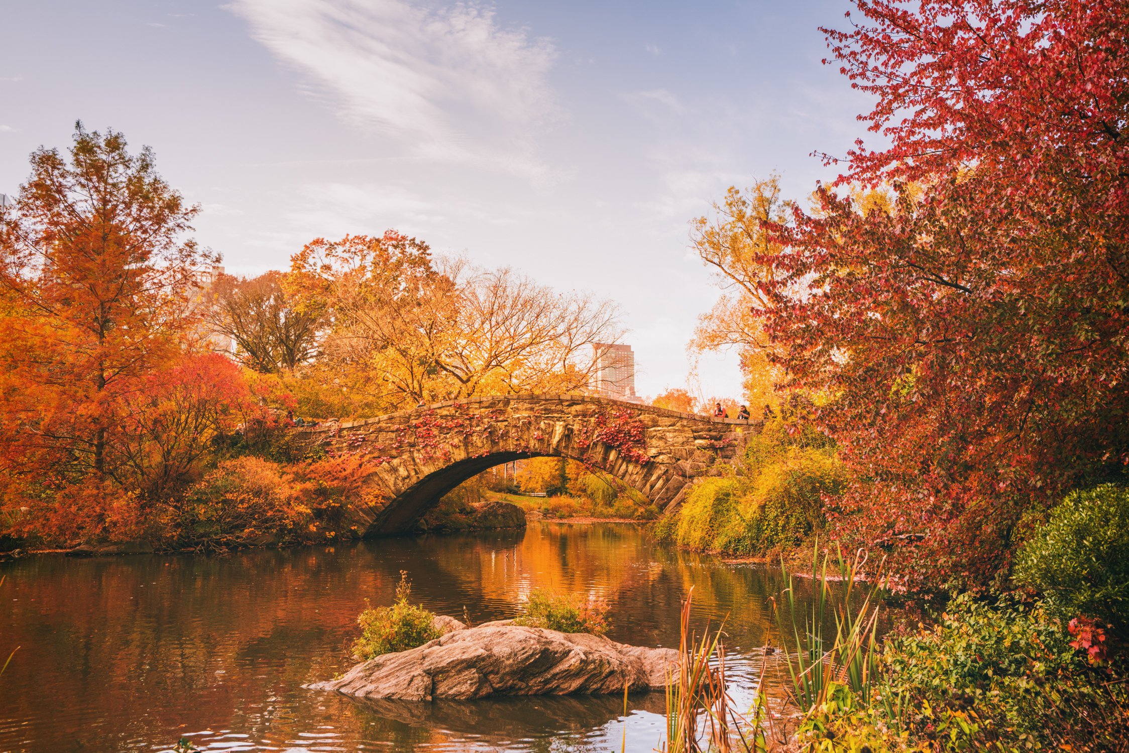 bridges, Usa, Parks, Pond, New, York, City, Gapstow, Bridge, Nature Wallpaper