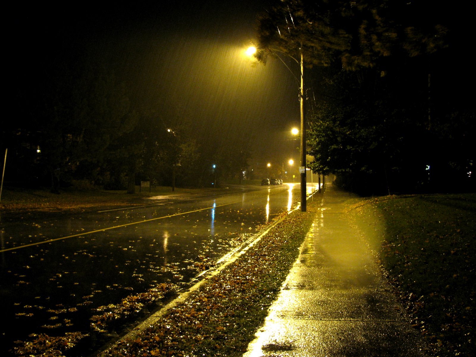 rain, Roads Wallpaper
