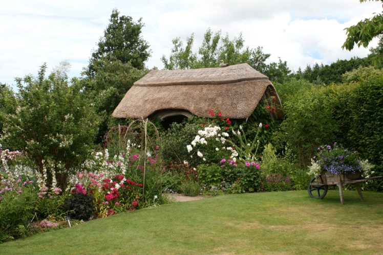 england, Shrubs, Grass, Rosemoor, Gardens, Devon, Nature HD Wallpaper Desktop Background