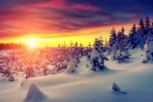 blue, Sky, Christmas, Covered, Dawn, Forest, Horizon, Pine, Pine, Forest, Pine, Trees, Pure, Snow, Sunrise, Top, Best, Picture, Winter