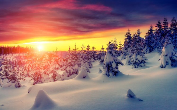 blue, Sky, Christmas, Covered, Dawn, Forest, Horizon, Pine, Pine, Forest, Pine, Trees, Pure, Snow, Sunrise, Top, Best, Picture, Winter HD Wallpaper Desktop Background