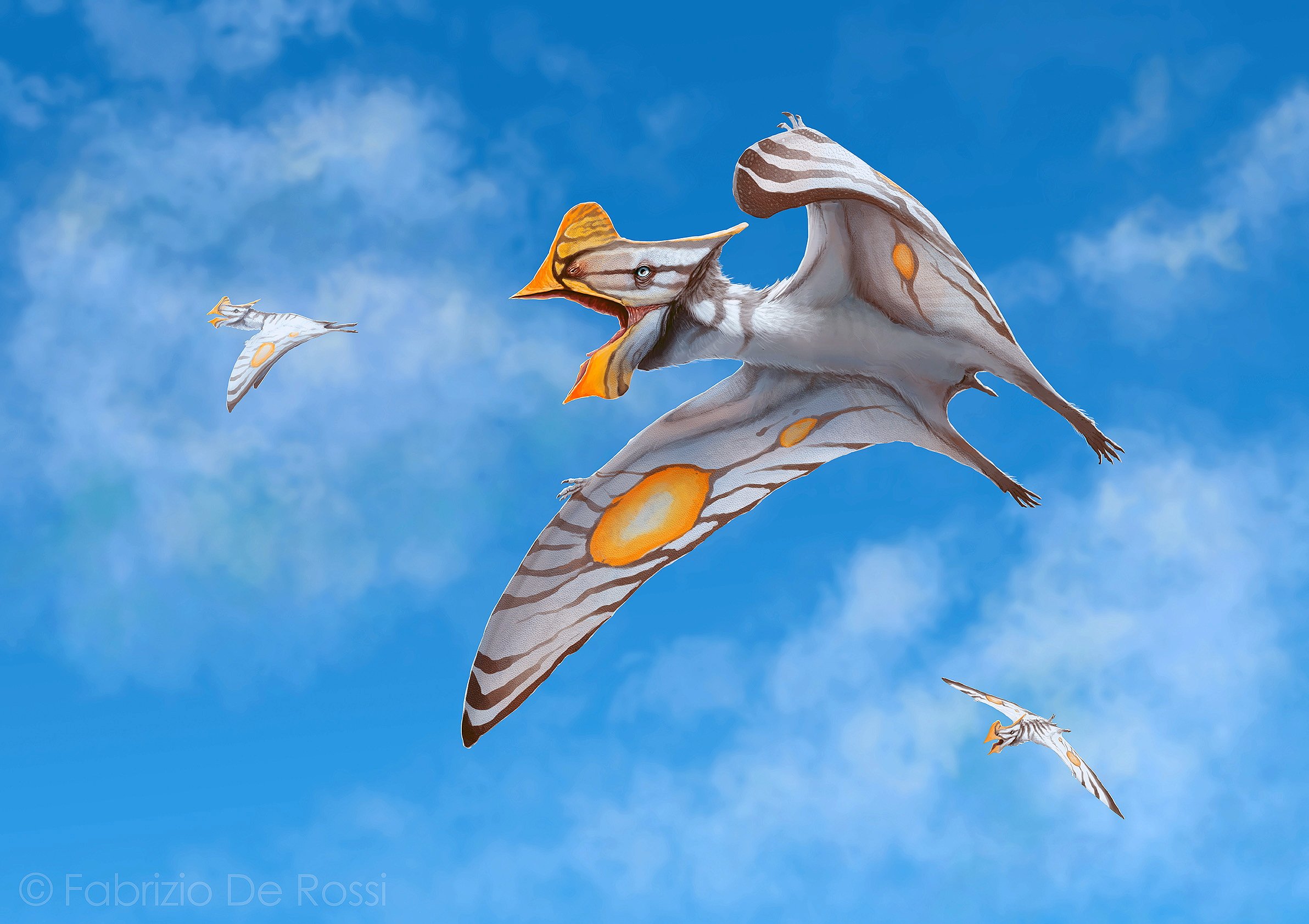 ancient, Animals, Dinosaurs, Sky, Flight, Tapejara, Animals, Wallpapers Wallpaper