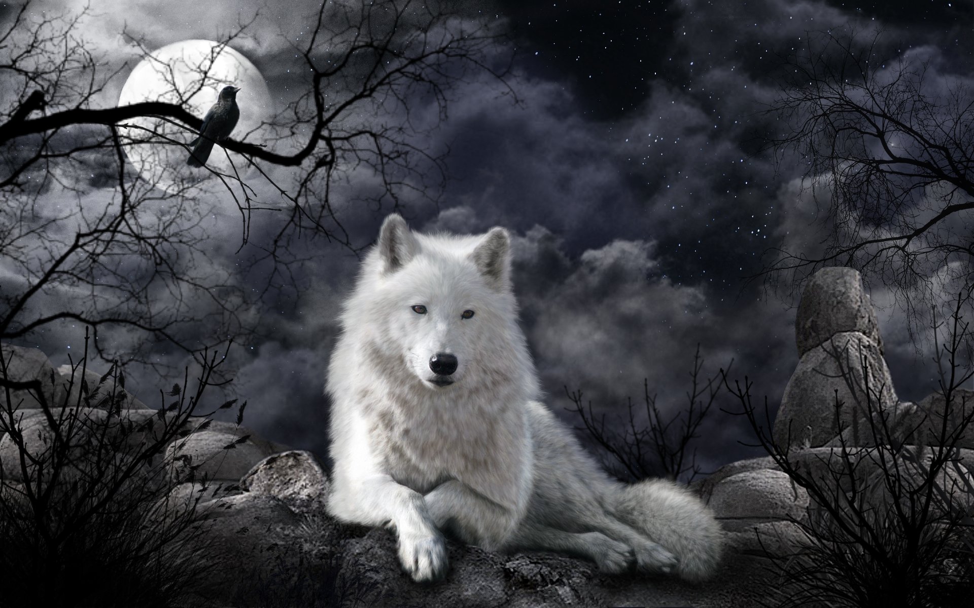 wolves, Moon, Night, White, Animals, Fantasy, Wallpapers Wallpaper