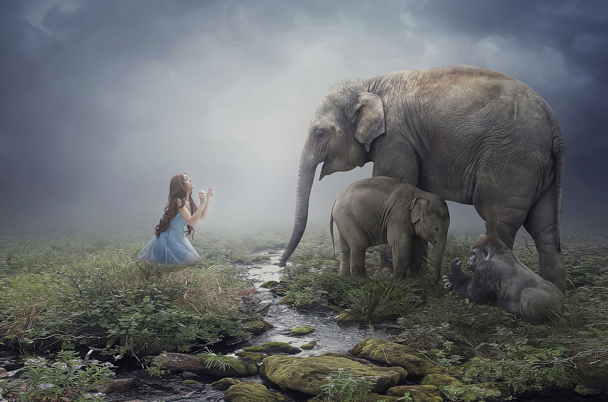 elephants, Cubs, Stream, Fantasy, Girls, Animals, Wallpapers Wallpaper