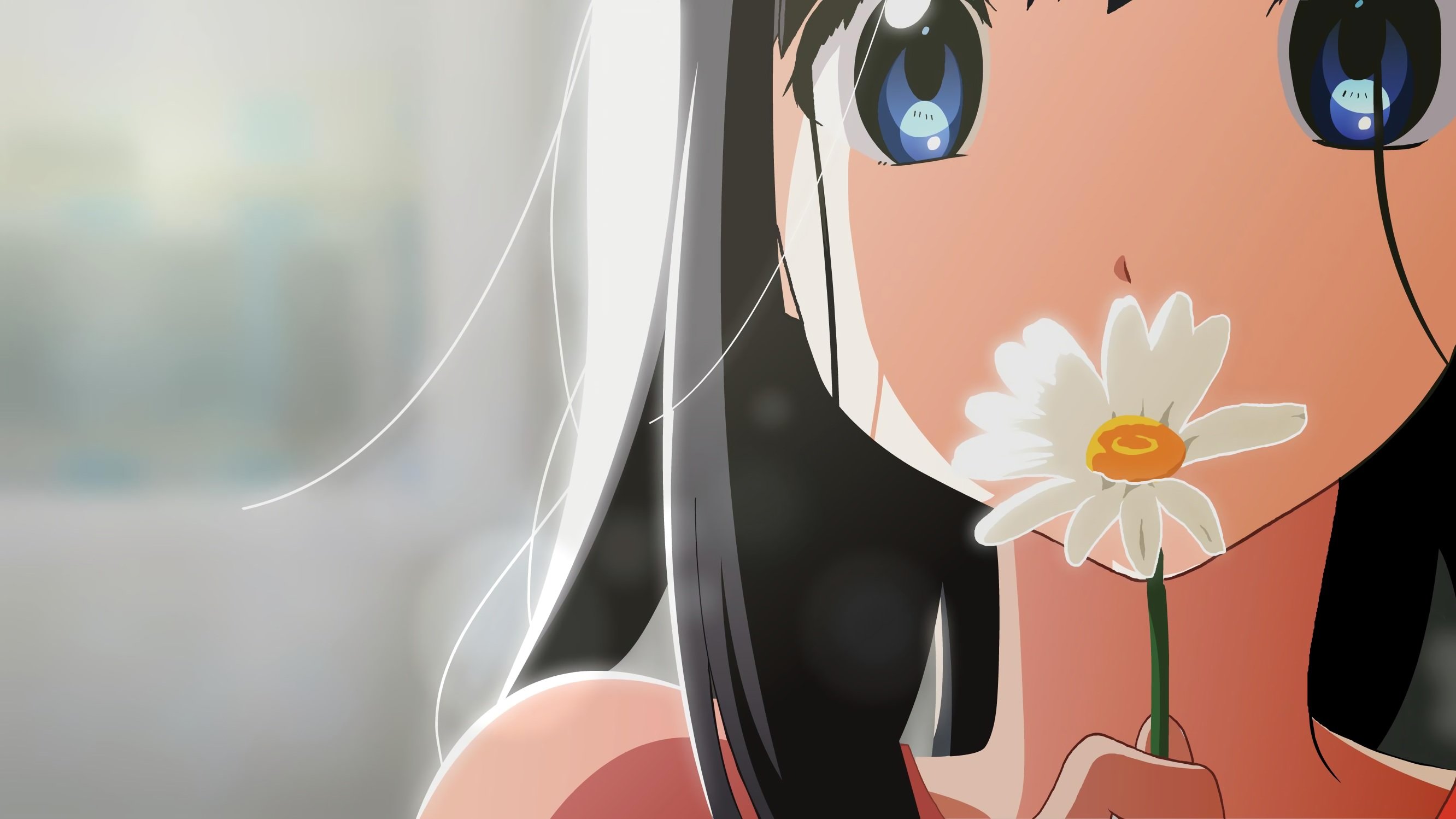 horiguchi, Yukiko, Kitashirakawa, Tamako, Tamako, Market, Vector Wallpaper