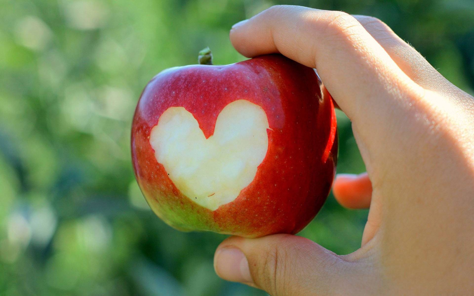 hands, Hearts, Apples Wallpaper
