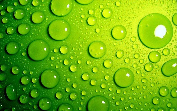 Green Bubbles HD Wallpaper Desktop Background